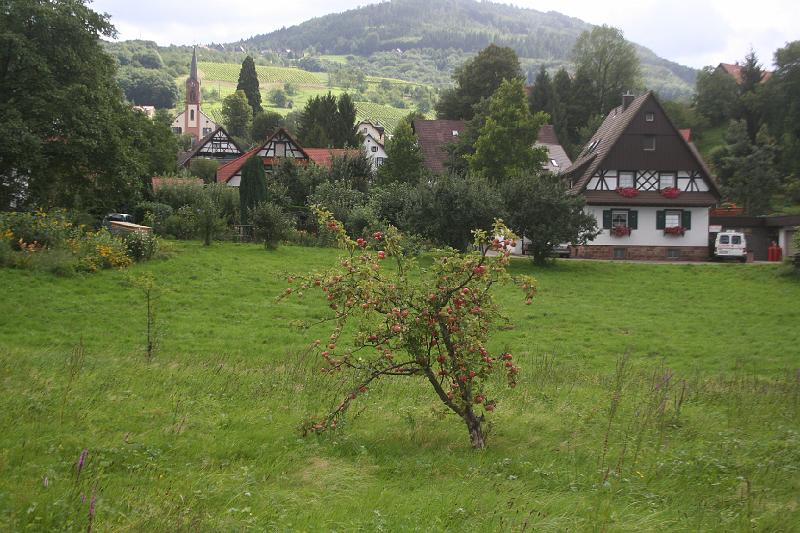 saschbad.jpg