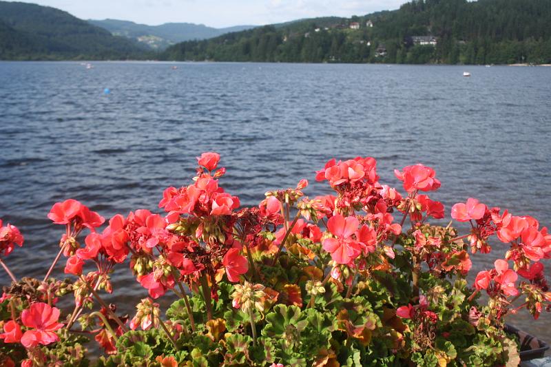 titisee.jpg