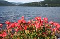 titisee