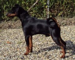 Millgret Lucky Lazario